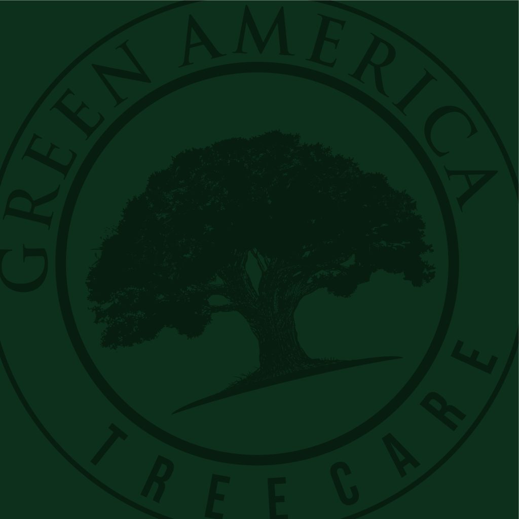 Green America Tree Care