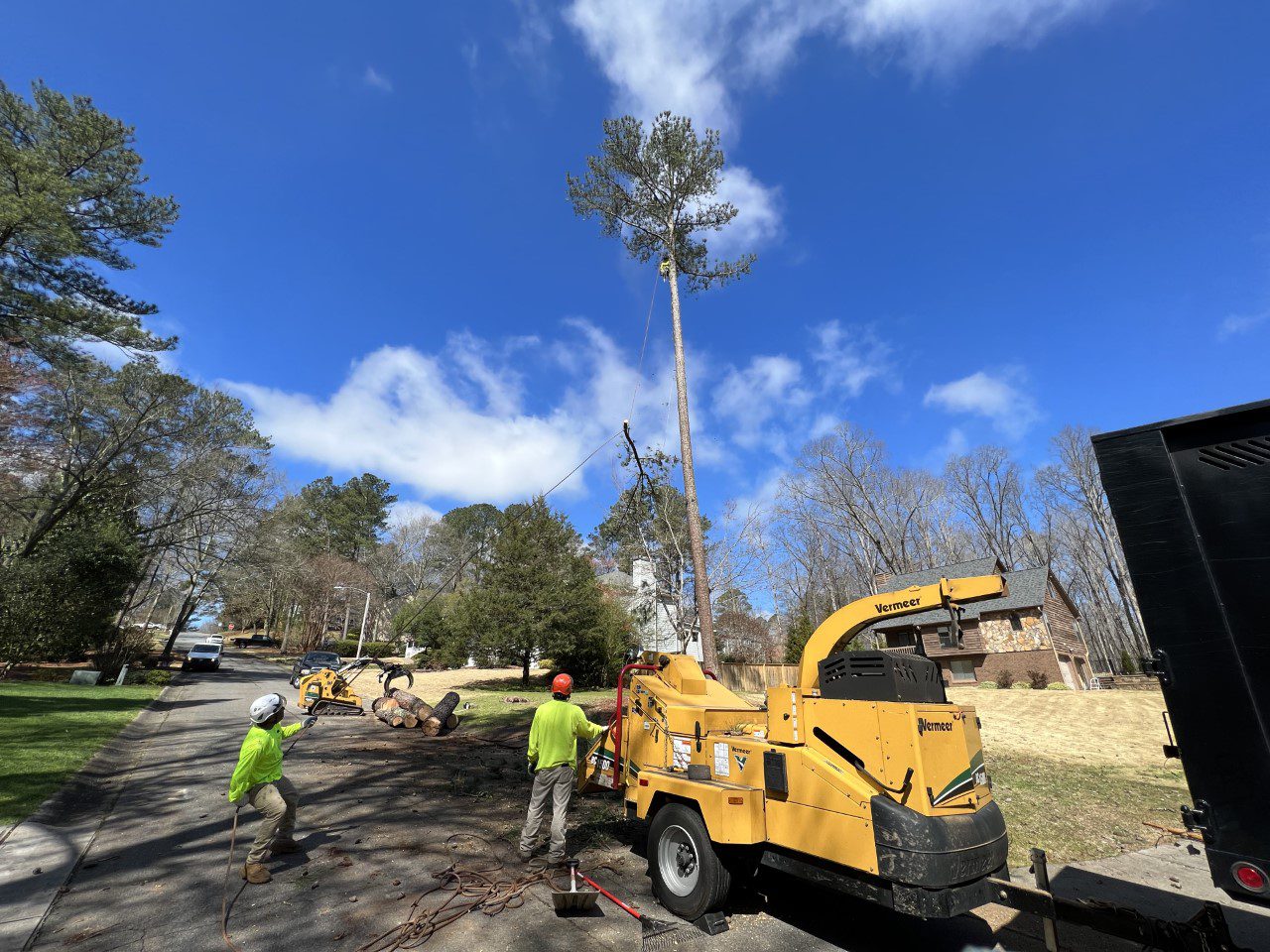 List Of Tree Services For Atlanta - Green America Tree Care