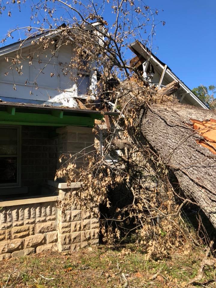 When Should You Contact a Tree Care Company? 1 Emergency storm clean up tree on house